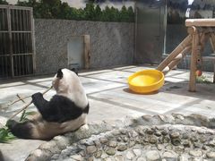 -西安秦岭野生动物园