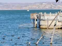 -洱海月湿地公园