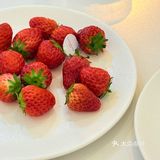 这家下午茶简直把性价比3个字拉满了！！实况