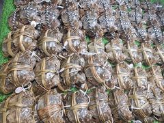 -盒马鲜生(龙德广场店)