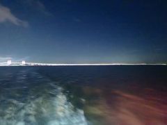 -澳门环岛游湾仔码头