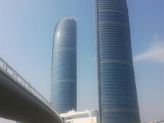 -演武大桥观景平台