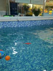 -子木乐园婴儿游泳馆(水晶港店)