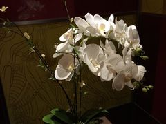 -写庭·鱼鲜川菜·宴请(铁像寺水街店)