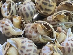 鲜活花螺-阿鸡鱼庄·顺德鲜蒸小炒(亚运村店)