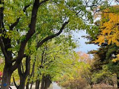 -国家植物园南园