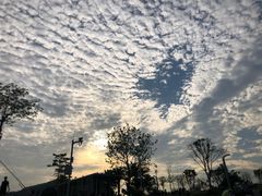 -白石龙音乐公园