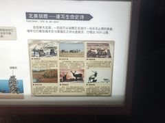 -天津自然博物馆