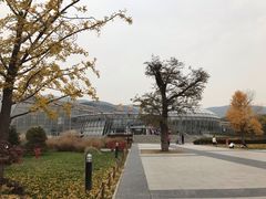 -北京植物园-展览温室