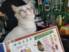 -五臟廟