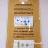 原来还有除甲醛的涂料