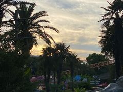 -上海海昌海洋公园