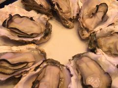 -千岛蚝高压锅生蚝·人参火锅(白云万达店)