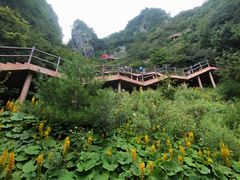 -秦岭天竺山生态文化旅游景区