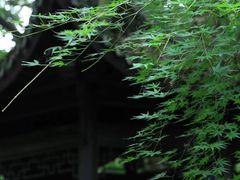 -杭州植物园