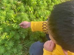 -桤木河湿地公园