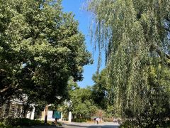 -上海滨江森林公园