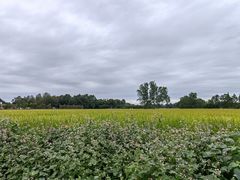 -中国天府农业博览园