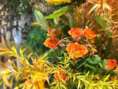 -萤火虫咖啡(后海店)