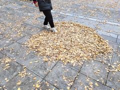 -百林公园-两江幸福广场