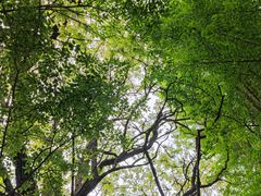 -大连植物园
