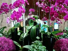 -济南富力凯悦酒店