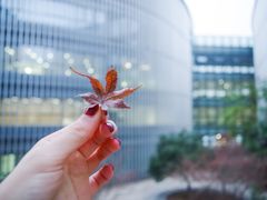 -南京大学杜厦图书馆