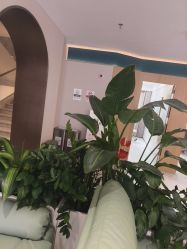 -LIHER北京丽合医疗美容医院