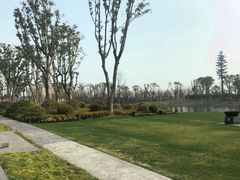 -养云安缦·廊