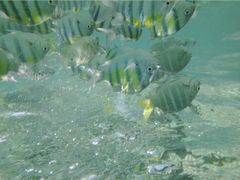 Ban&nbsp;Raya酒店-Ban Raya酒店