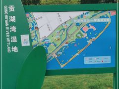 -贡湖湾湿地公园