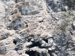 -狮子关旅游区