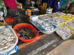 -芦潮港集贸市场