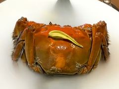 -觀芷隐轩