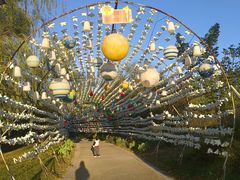 -祥源·阜阳生态乐园