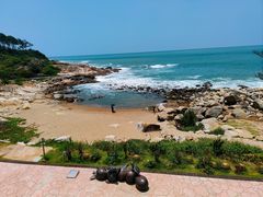 -广东惠东海龟国家级自然保护区