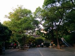-白沙古井