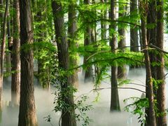 -东湖落雁景区
