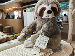 -ZOO COFFEE动物园咖啡(红山森林动物园店)