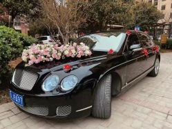 -蚂蚁婚车