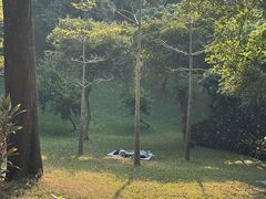 -云溪植物园