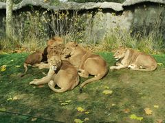 -北京野生动物园