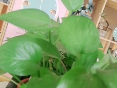 -咖啡人·融合餐厅(万达环宇店)