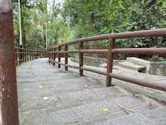 -水濂山森林公园