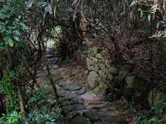 -水濂山森林公园