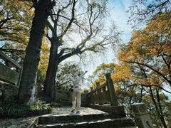 -狼山风景名胜区