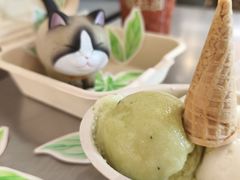 -极拉图·现制冰淇淋(大卫城店)