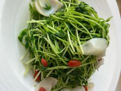 -素心小筑(后沙裕镇店)