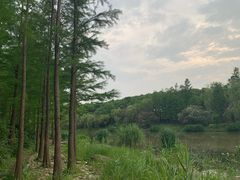 -新江湾城公园