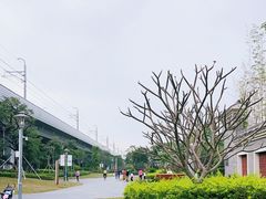 -宝安西湾红树林湿地公园